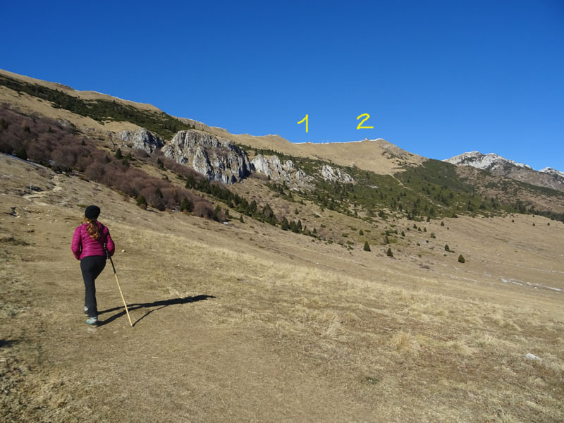 Punta di Naole e Monte Sparavero (Gruppo del Monte Baldo)